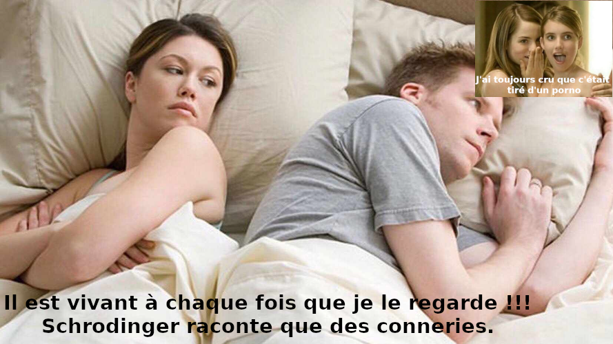 https://www.shurin.fr/Images/Double-meme.png